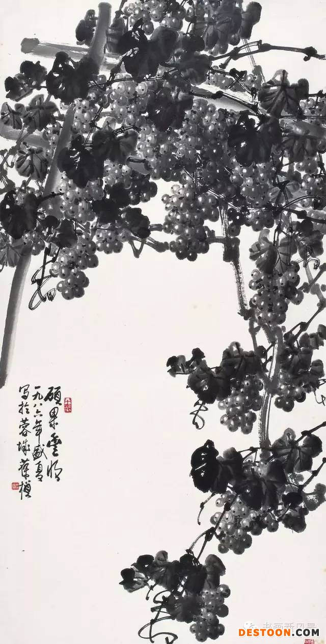 什么是葡萄大师苏葆桢的黑葡萄