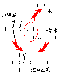 什么是过氧化醋酸叔戊酯用途? 第2张 什么是过氧化醋酸叔戊酯用途? 第2张