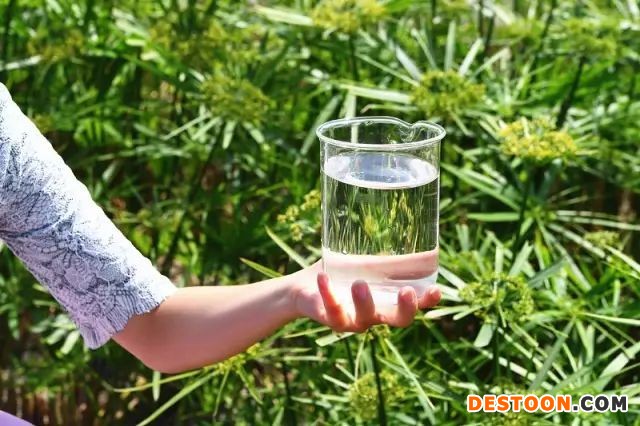 什么是关注 ｜ 水厂上的生态公园！天府空港新城再生水厂项目今年开工？  第10张