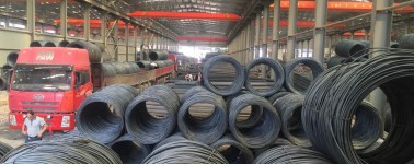 盤(pán)螺價(jià)格圖片